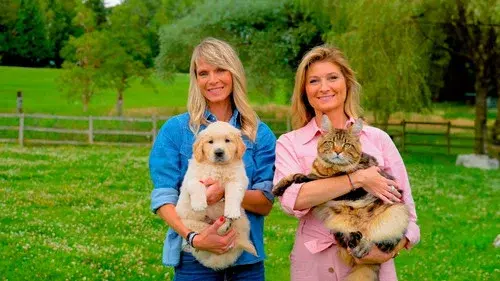 Les animaux de la 8