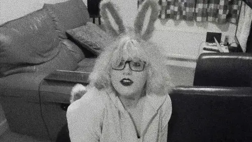 Pet Bunny