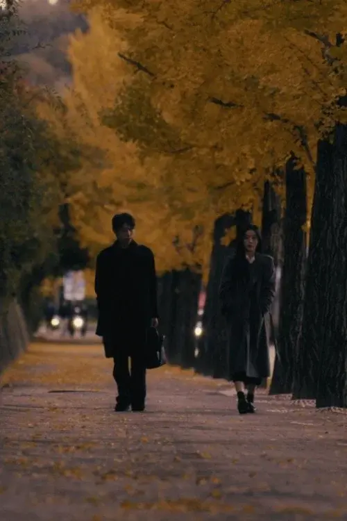 늦여름 매미처럼