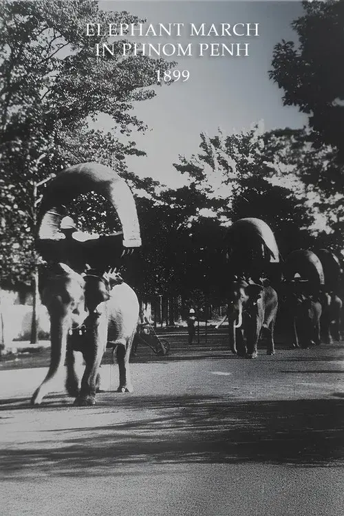 Elephant March in Phnom Penh