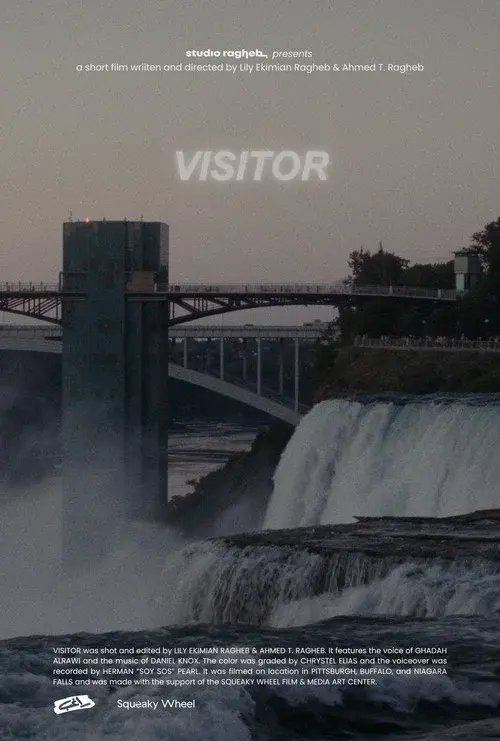 Visitor