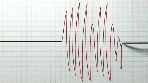 The Confession Killer