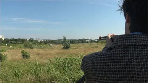 Juillet ou (Comment tuer du temps précieux)
