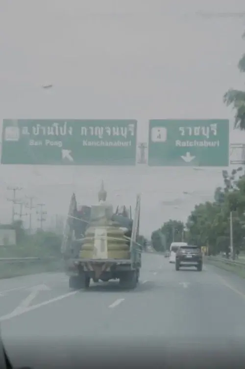 วัวลืมตีน