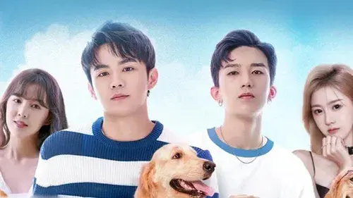 我的兄弟不可能在这么萌