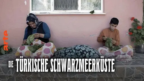 Die türkische Schwarzmeerküste