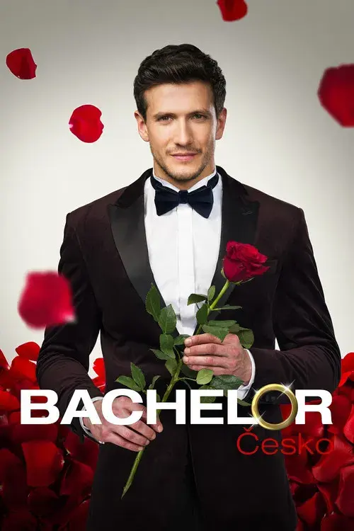 Bachelor
