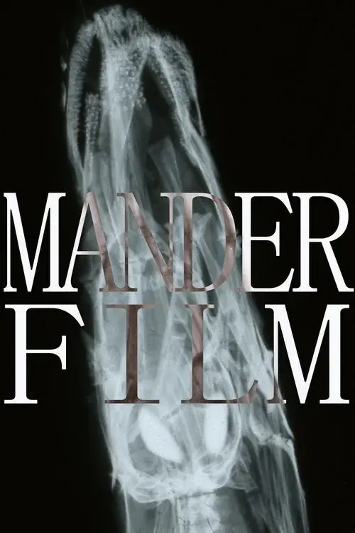 Manderfilm