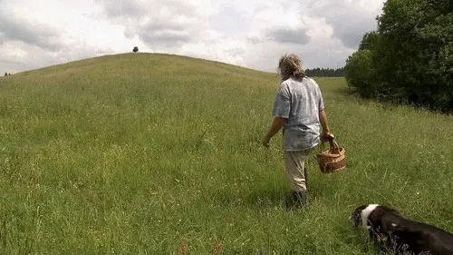Auf der Suche nach Heilern