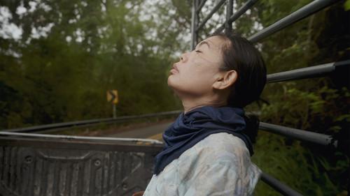 Because Watching Pacifies