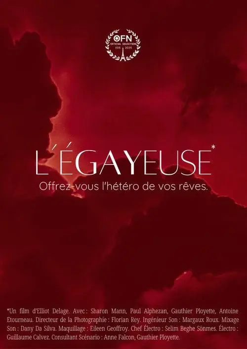 The Gaymaker