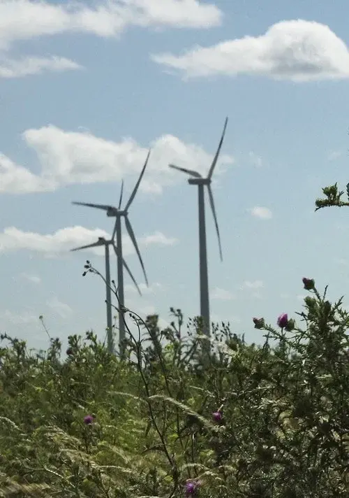 Windpark: Ein Lichtspiel bei Nacht