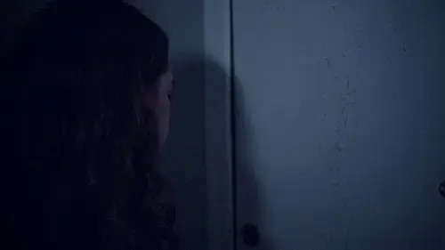 Folhas Secas de Outono