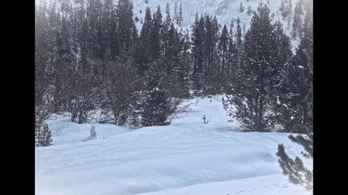 A story in white