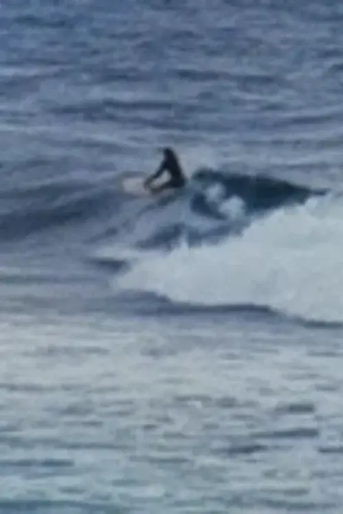 The Legend of Tibrogargan