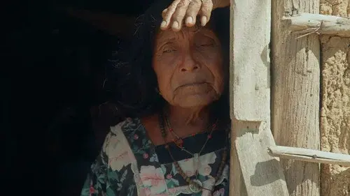 Two-Spirit