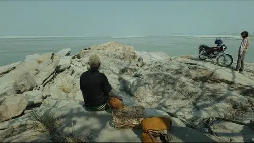 Kok Kok Kokoook