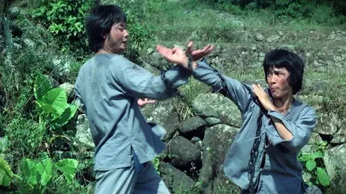 Monkey Kung Fu