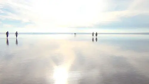 The Walkers