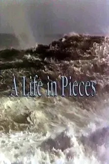A Life In Pieces