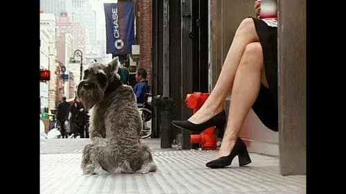 Walk Don't Walk