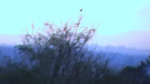 I BURNT MY BRAIN FOR YOU