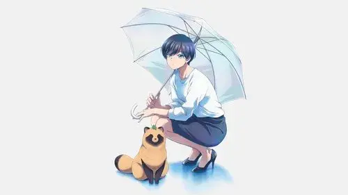 雨と君と