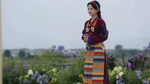 花儿绽放