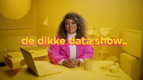 De Dikke Data Show