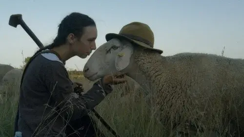 Does the Horse Have to Work, Too?