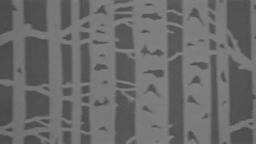 Echo Awake
