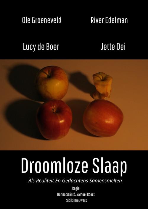 Droomloze Slaap