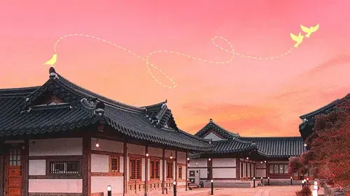 자식방생프로젝트 합숙 맞선