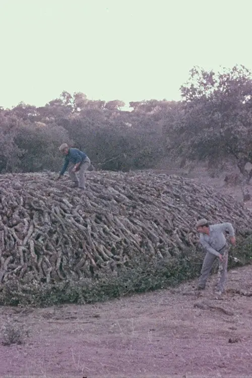 Encinares
