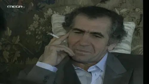 Η Αγάπη της Γάτας