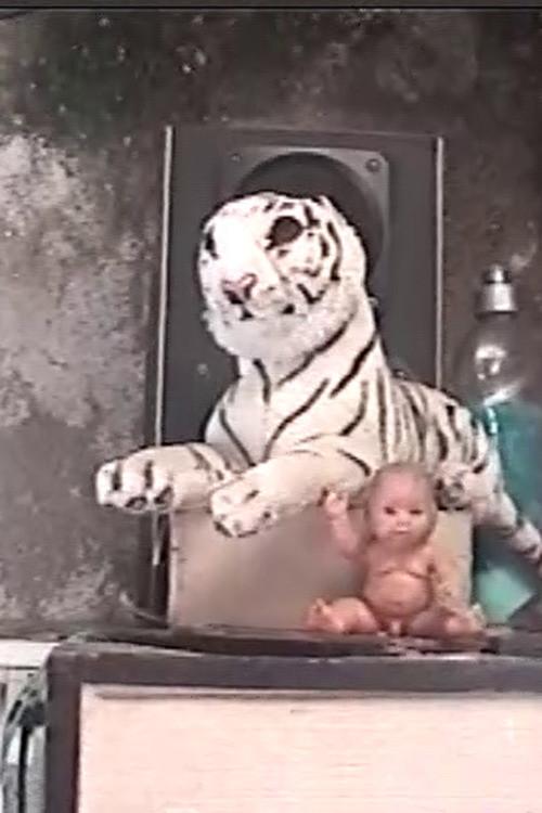 Home Video