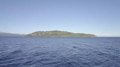 Huemul