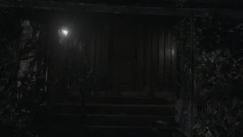 The Shadow