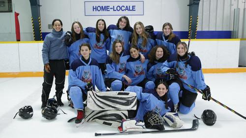 Gang de hockey