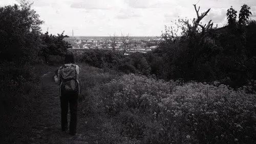 And Then the Silence Faded