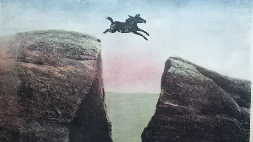 The King of the Wild Horses