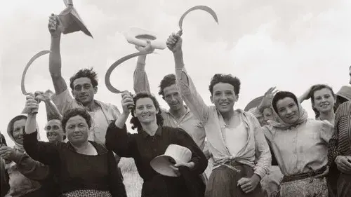 Le Temps des paysans