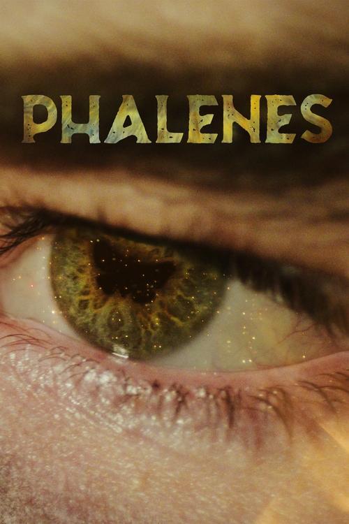 Phalenes