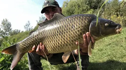 Rybaření s Kubákem