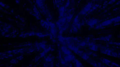 New York City Opera: A Little Night Music