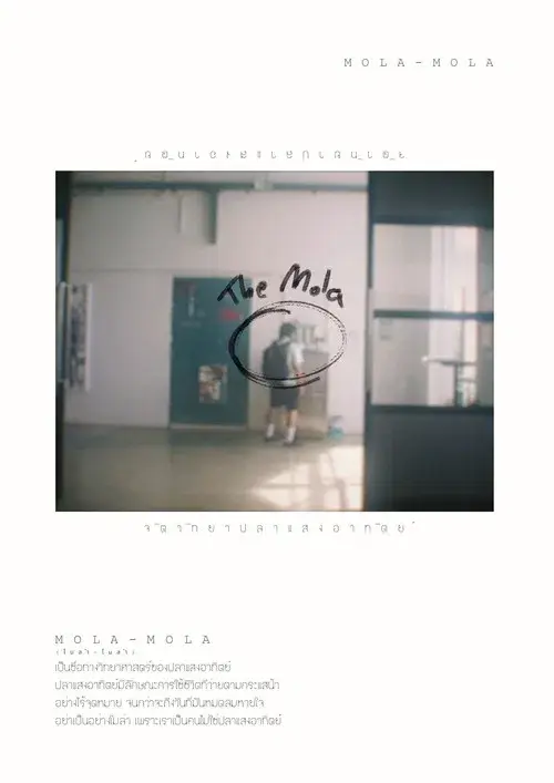 จิตวิทยาปลาแสงอาทิตย์