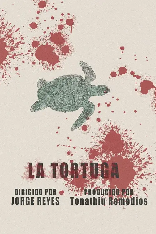 The Turtle