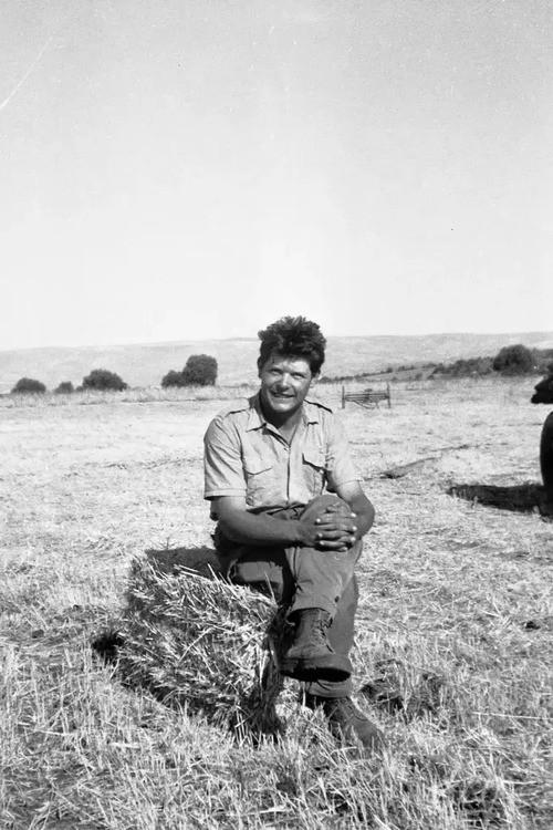 Comme d’ici au pommier