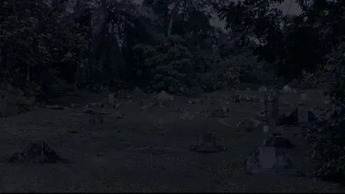 Where Have You Gone, Girl?