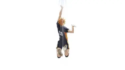 HAIKYU!! VS the Little Giant
